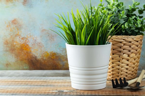 Pourquoi les fausses plantes sont-elles devenues un must-have dans la déco moderne ?